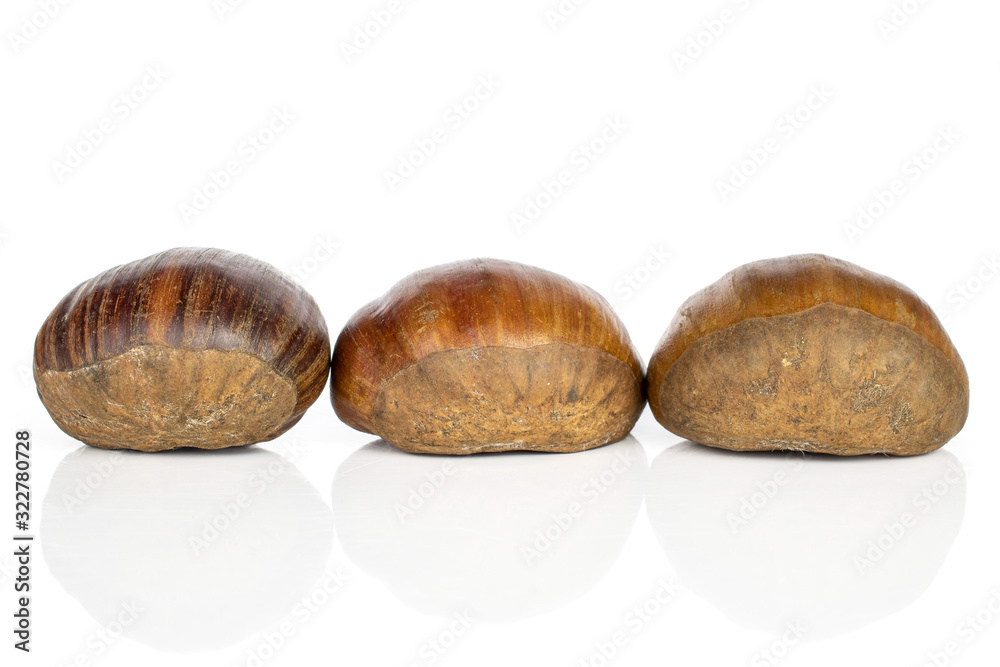 Group of three whole edible brown chestnut isolated on white background Group of three whole edible brown chestnut isolated on white background