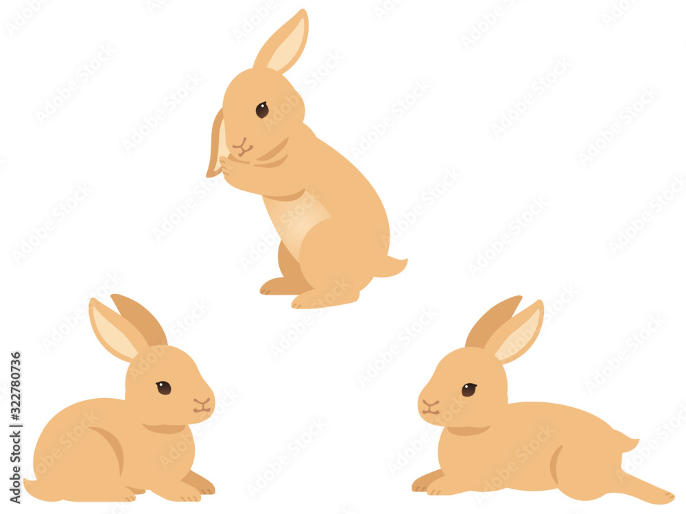 ウサギのイラストセット ティモテ 伏せのポーズ Stock Vector Adobe Stock ウサギのイラストセット ティモテ 伏せのポーズ Stock Vector Adobe Stock