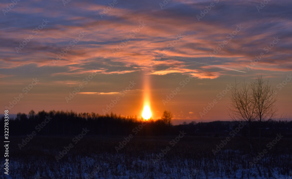 Obraz premium sunset over field