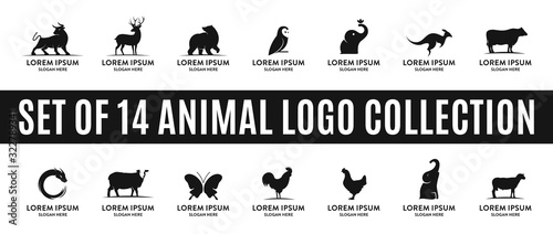 set of best animal logo collections, perfect for company logo or branding.