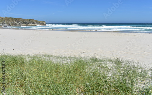 Wild beach with grass on sand dunes  cliff and waves breaking with blue sky. Viveiro  Lugo  Galicia  Spain.