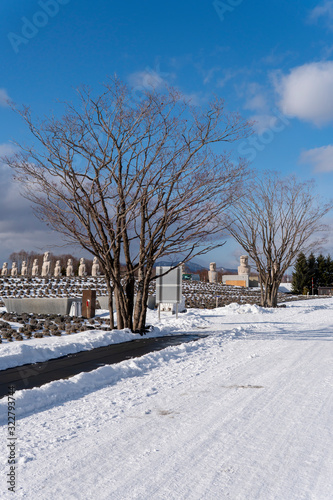 Makomanai Takino Cemetery In Sapporo, Hokkaido On January 11, 2020