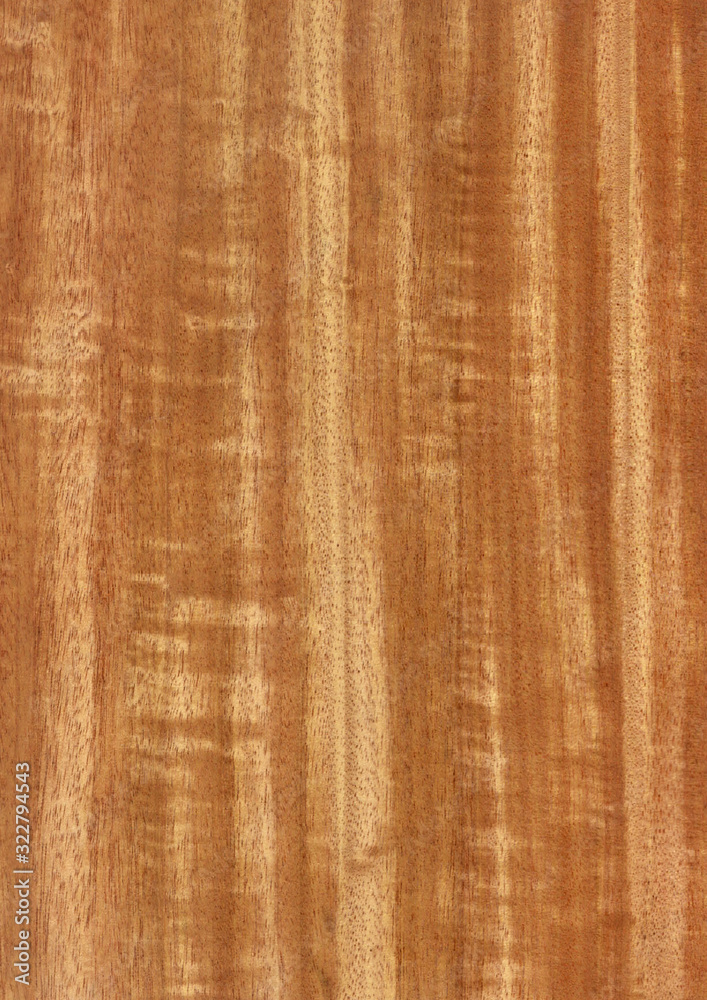 Fototapeta premium Closeup real natural wood grain of veneer background and texture, Pattern for decoration. Blank for design. Use for select material idea decorative furniture surface. Exotic veneer material.