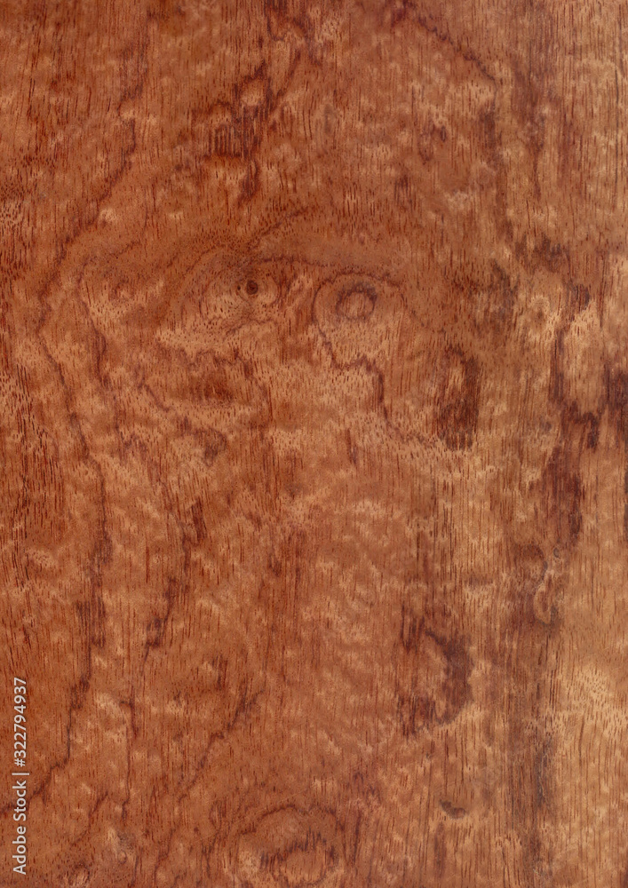 Naklejka premium Closeup real natural wood grain of veneer background and texture, Pattern for decoration. Blank for design. Use for select material idea decorative furniture surface. Exotic veneer material.