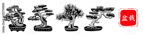Fototapeta Set of 4 Bonsai trees. Vector hand drawn black and white illustration on a white background. Inscription in Japanese Bonsai characters.