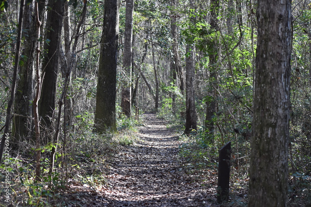 Path Path