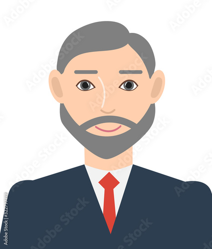 The judge avatar. Portrait of a gray-haired man on a white background. Vector illustration.