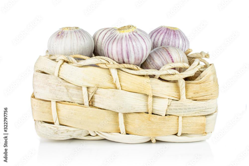 Lot of whole fresh purple single clove garlic in bast basket isolated on white background