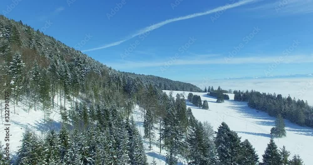 Fly over a snowy forest with mountains peaks and clouds in the background