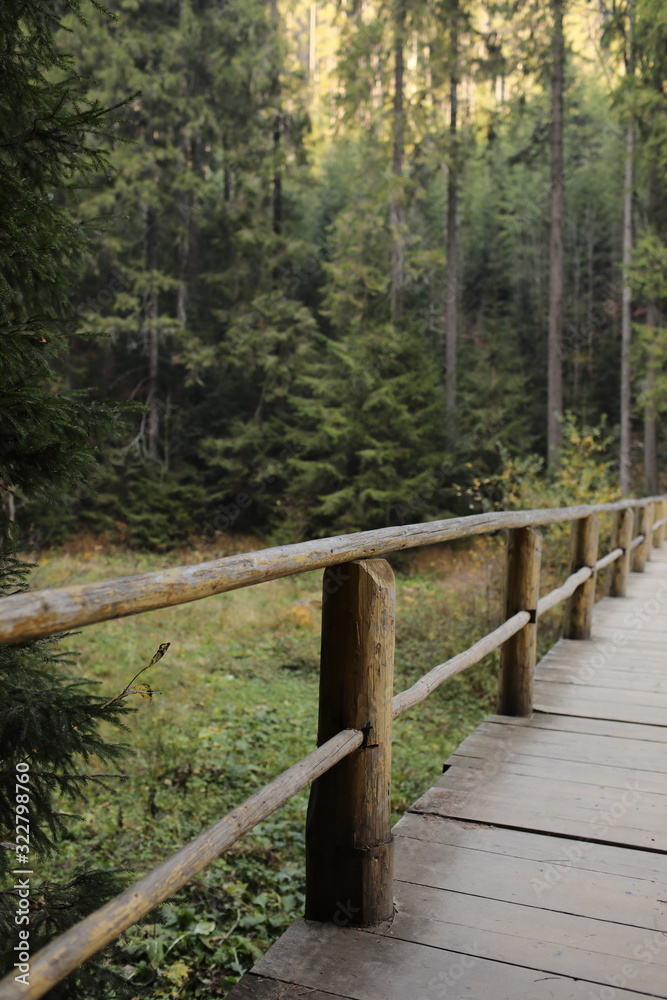 tourist wooden bridge with fence in green forest tourist wooden bridge with fence in green forest