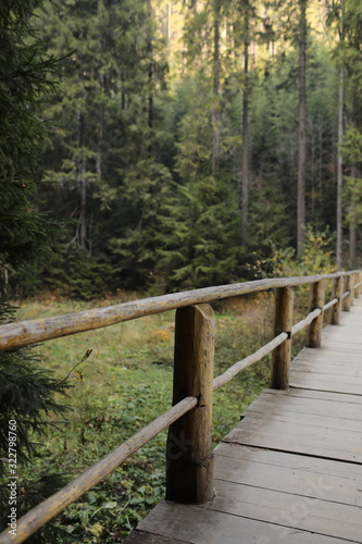 Fototapeta Naklejka Na Ścianę i Meble -  tourist wooden bridge with fence in green forest