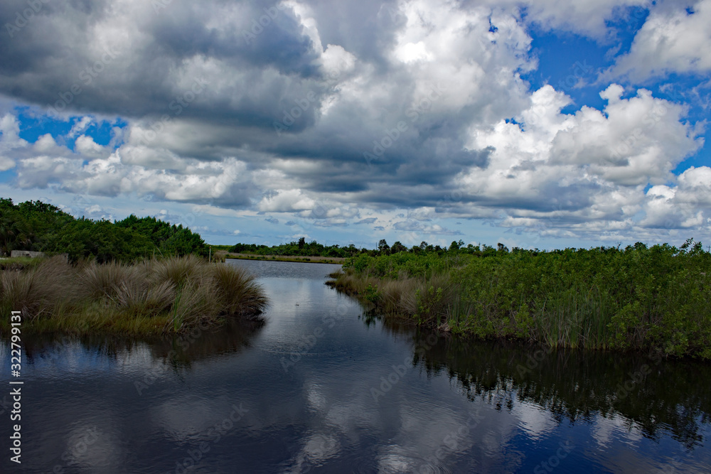 Everglades Florida USA