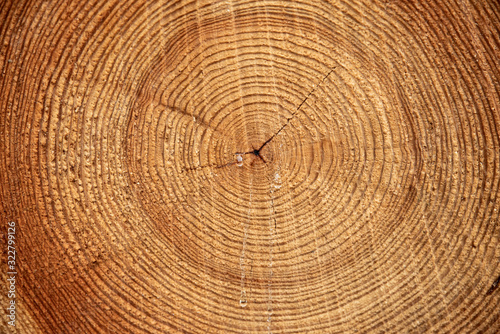 A sawn-off tree. The texture of the wood. Close-up of a cross section of lumber. Background texture