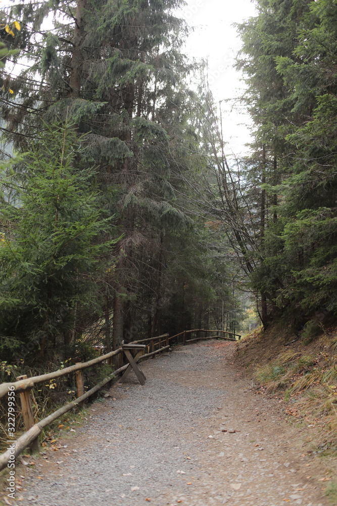 walkway or road with wooden fence in forest near lake Synevyr, Transcarpathia walkway or road with wooden fence in forest near lake Synevyr, Transcarpathia