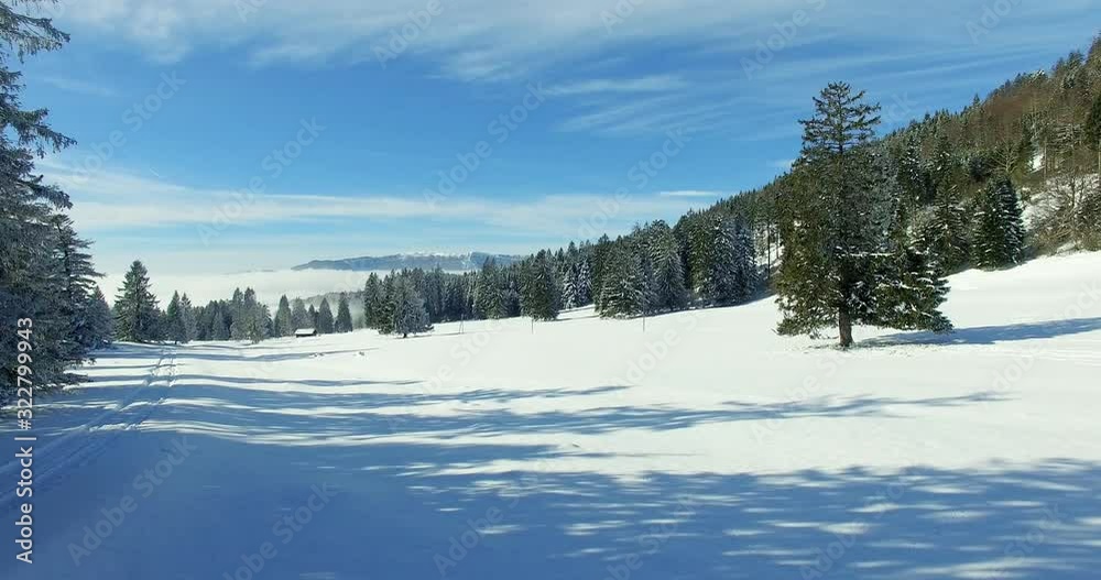 Flying over a snowy ground surrounded by the forest with a view of mountains peaks and clouds