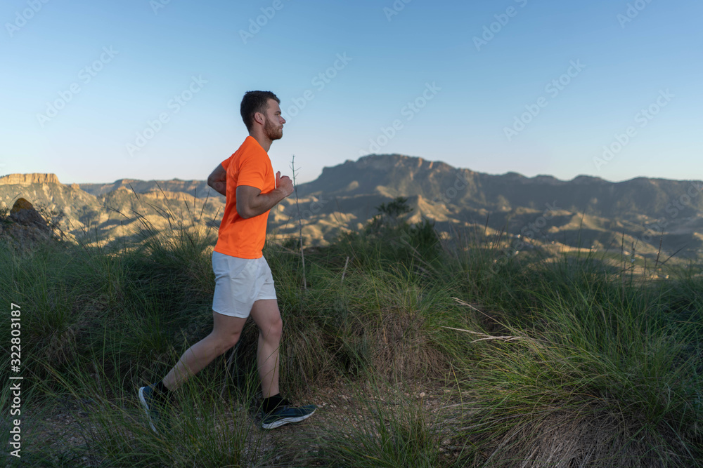 Fototapeta premium runner