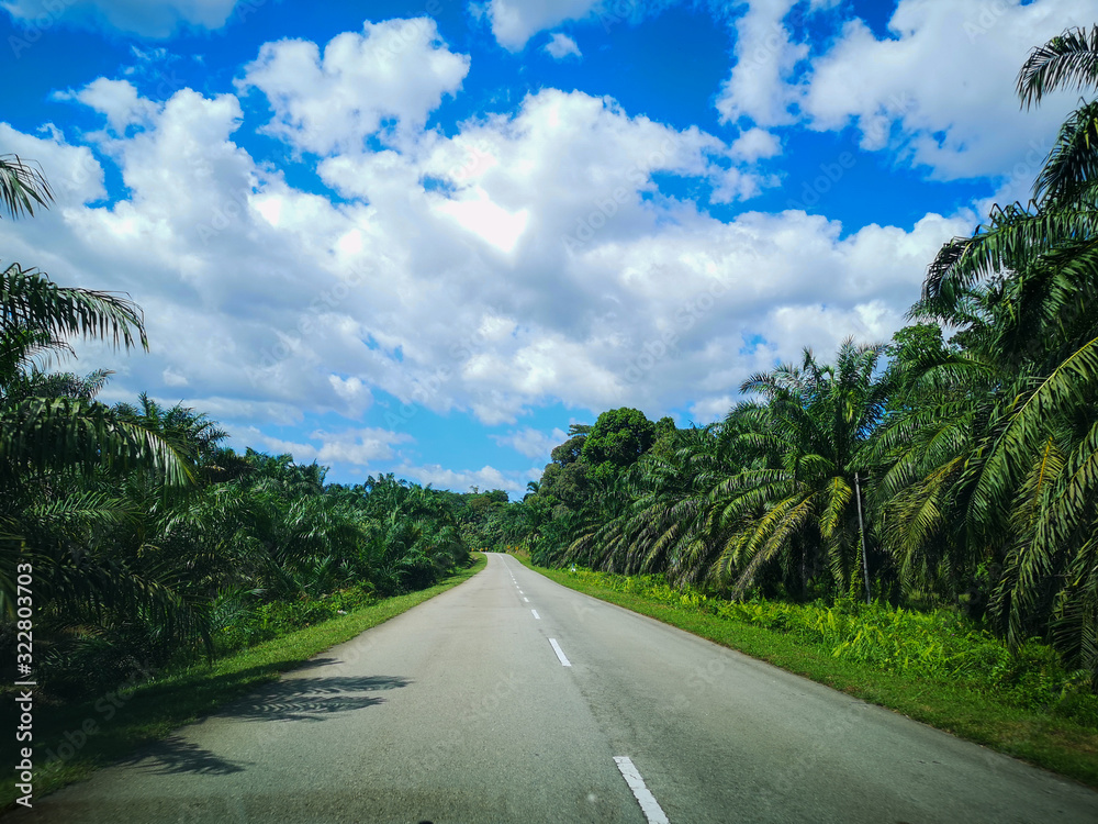 Fototapeta premium Beautiful day on an empty road to nowhere