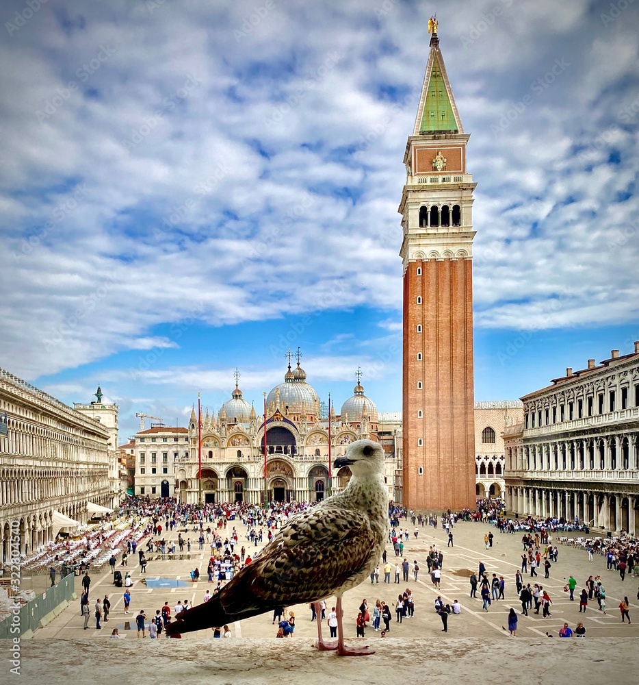 Fototapeta premium san marco square in venice