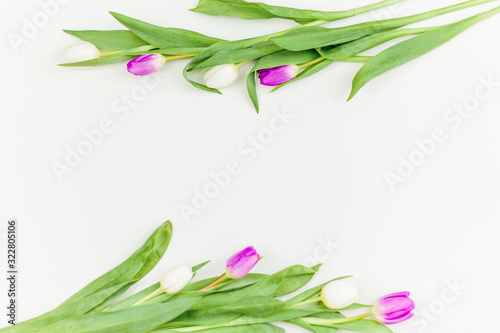 Bouquet of tulips on a white background. White and lilac tulips.