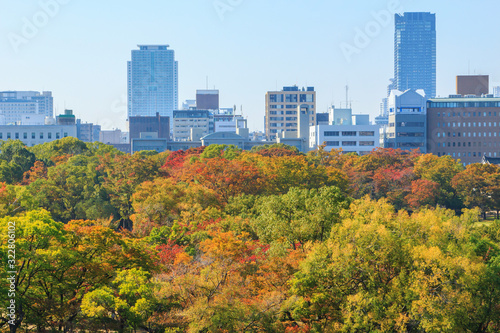 Aerial view of Osaka cityscape in autumn season at Osaka  Japan