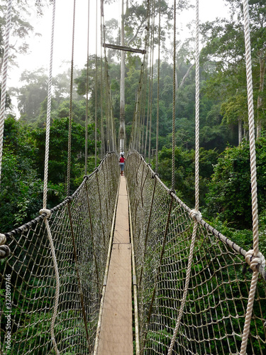 Kakum National Park Accra in Ghana - ACC for forest walks, treetop canopy walkways and bird wacthing