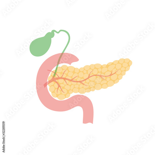 pancreas and gallbladder
