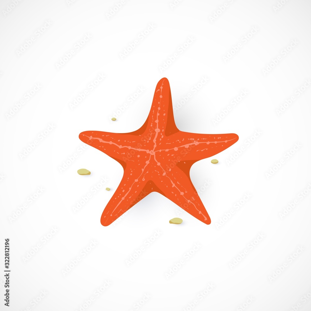 Vector cartoon icon of red Starfish, isolated on white background. Marine Sea Star illustration in flat style for summer design, print, vacation concept. Marine invertebrates. Vector cartoon icon of red Starfish, isolated on white background. Marine Sea Star illustration in flat style for summer design, print, vacation concept. Marine invertebrates.