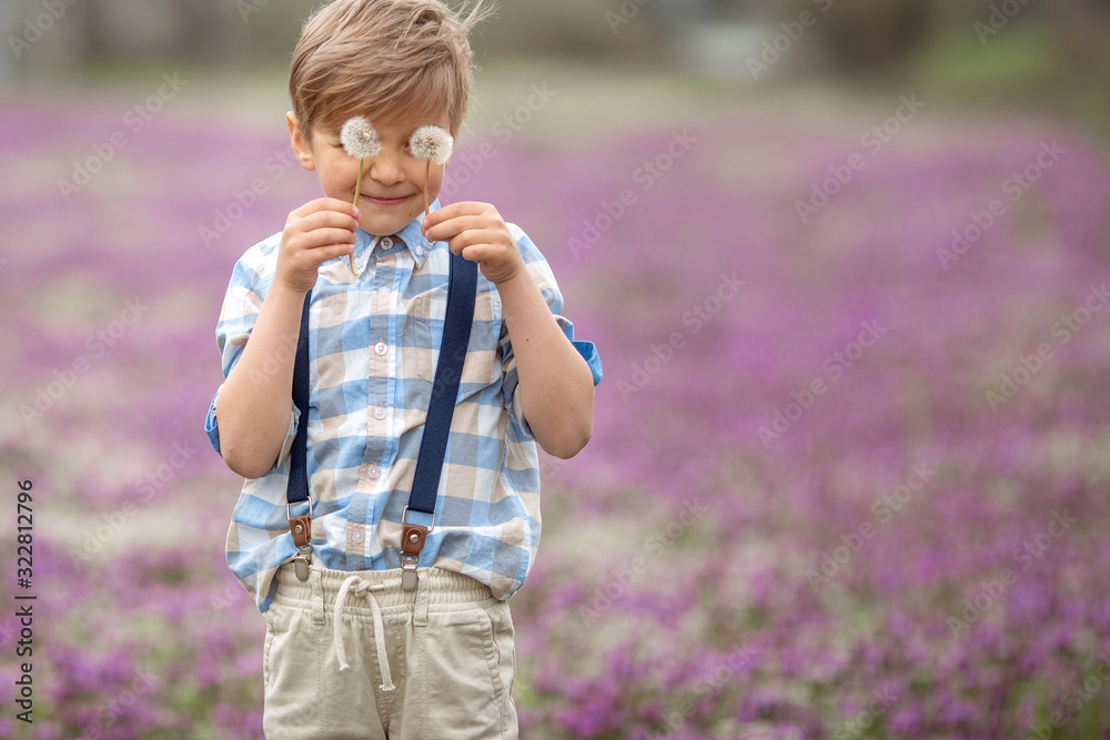 A child with dandelions in his hands. Boy close up hiding behind the two florets of a dandelion A child with dandelions in his hands. Boy close up hiding behind the two florets of a dandelion