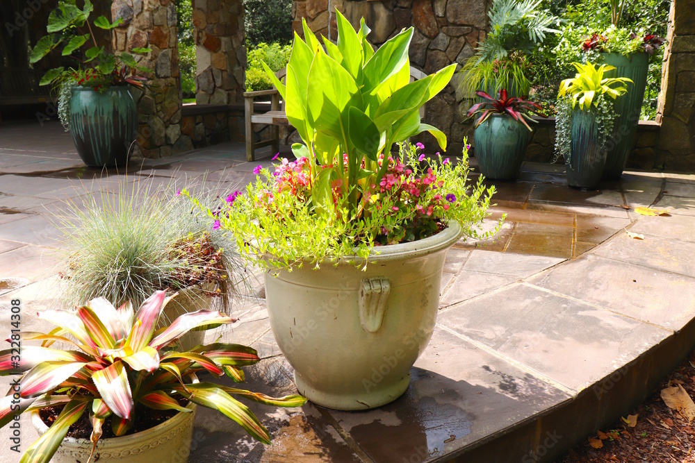 Fototapeta premium Patio Planting Ideas