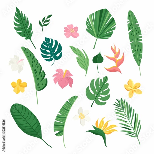 Tropical leaves and flowers collection. Vector summer illustration. Greenery, palm leaves, banana leaf