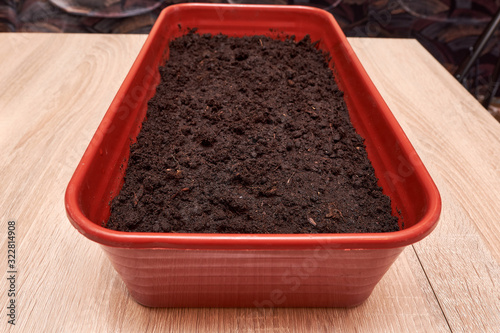 A plastic box filled with black soil prepared for planting seeds of plants of seedlings of flowers and vegetables on a wooden table in the house in spring.