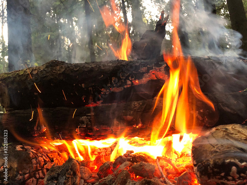 Evening beautiful bonfire of burning pine in the wild forest. Firewood burns orange flame. Red flame over hot coals of fireplace. Power of fire. Magic fire. Closeup.