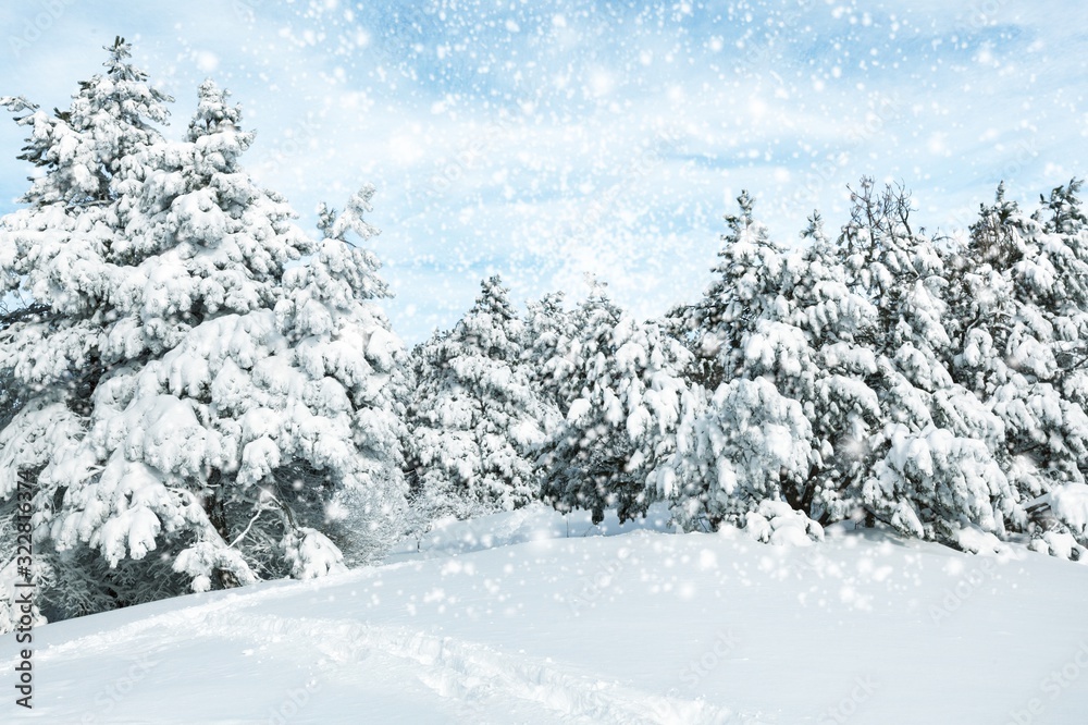 Winter. Winter.