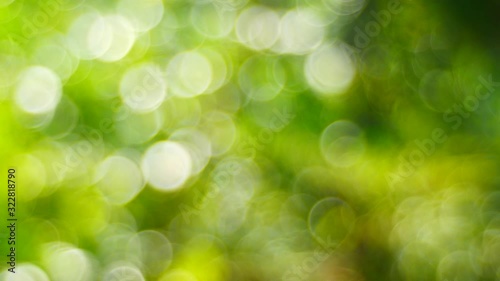 abstract green background with bokeh