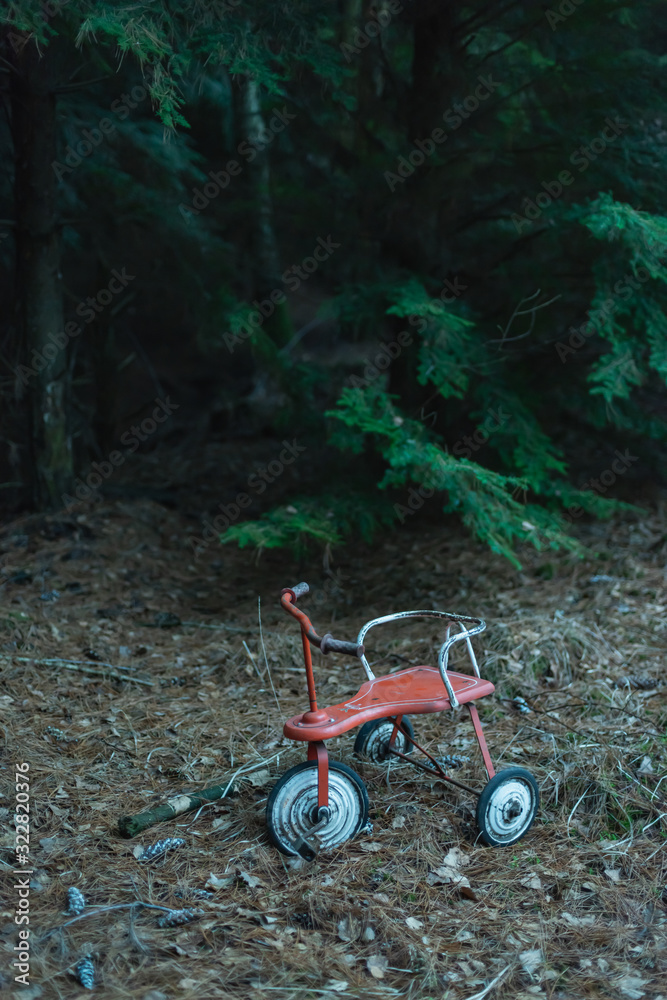 Abandoned tricycle in dark fir forest.