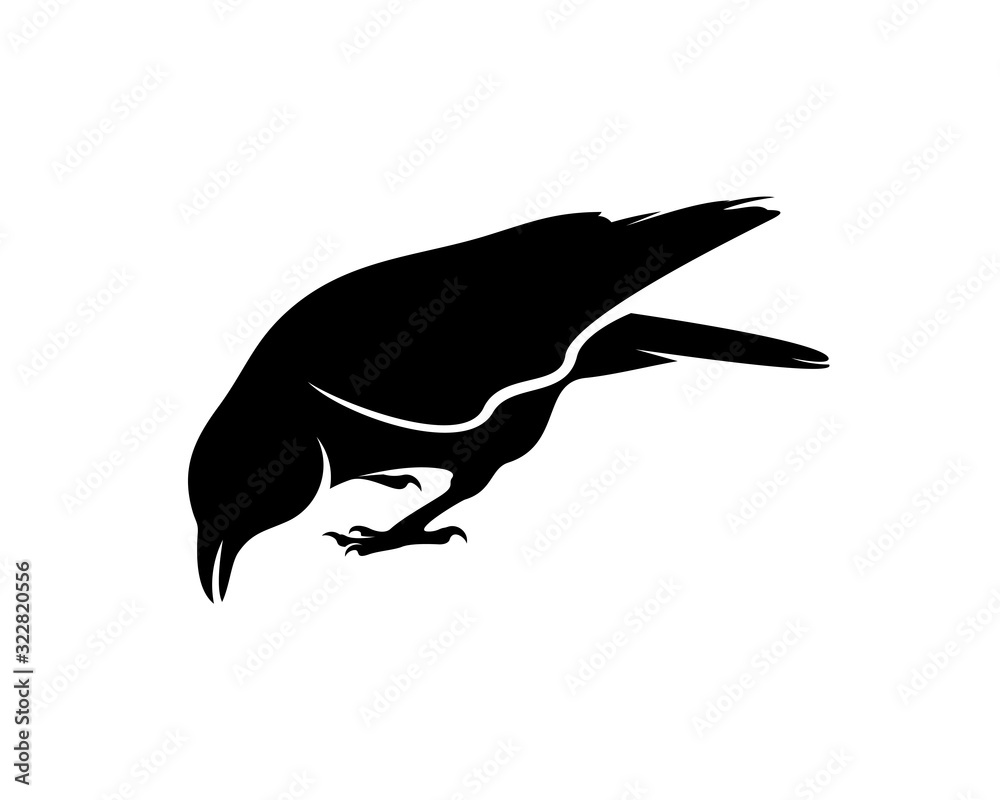 Raven bird logo vector template, Black silhouette of a crow on an isolated background Raven bird logo vector template, Black silhouette of a crow on an isolated background