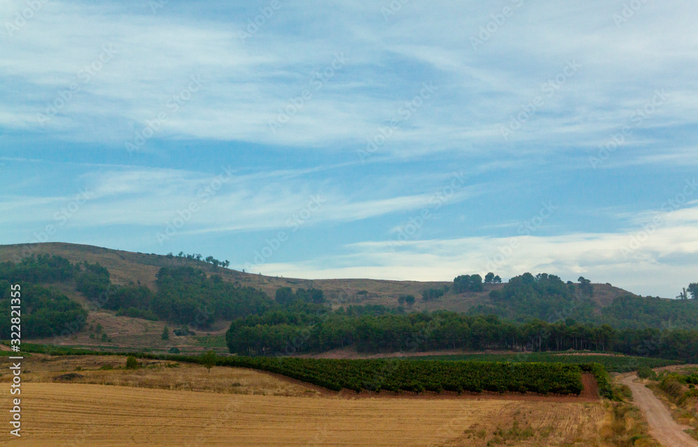 Paisaje de cultivos en Burgos