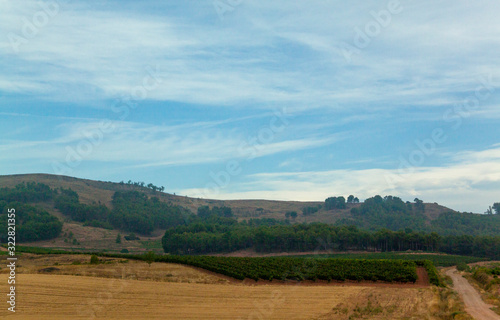Paisaje de cultivos en Burgos