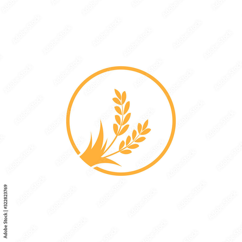 Wheat or barley ears. Harvest wheat grain, growth rice stalk and whole bread grains or field cereal nutritious rye grained agriculture products ear symbol.