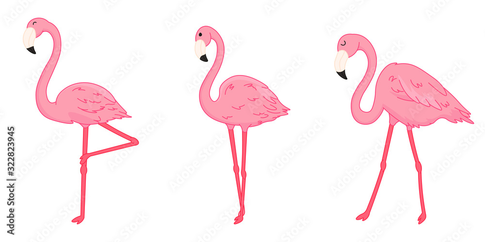 Obraz premium set of cartoon pink flamingos, isolated cute wild tropical birds, editable vector illustration for kids decoration, print, stickers
