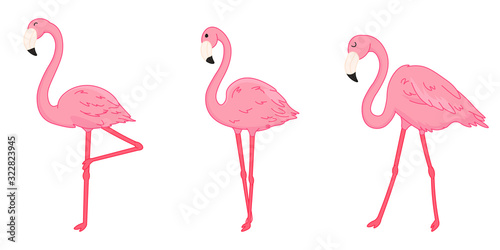set of cartoon pink flamingos, isolated cute wild tropical birds, editable vector illustration for kids decoration, print, stickers