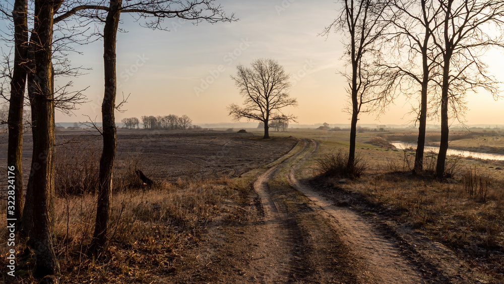 Krajobraz wiejski Podlasia, Podlaskie wierzby, Polska Krajobraz wiejski Podlasia, Podlaskie wierzby, Polska