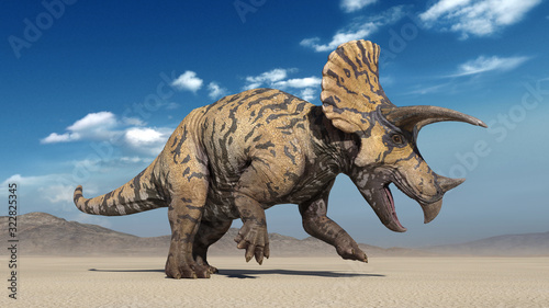 Triceratops  dinosaur reptile stomping  prehistoric Jurassic animal in deserted nature environment  3D illustration