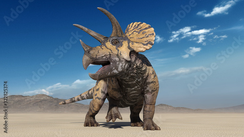 Triceratops, dinosaur reptile, prehistoric Jurassic animal roaring in deserted nature environment, front view, 3D illustration © freestyle_images