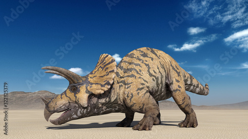 Triceratops, dinosaur reptile crawling, prehistoric Jurassic animal in deserted nature environment, 3D illustration