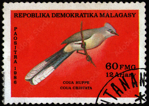 MADAGASCAR - CIRCA 1986: postal stamp 60 Malagasy franc printed by Republic of Madagascar, shows Crested Coua (Coua cristata), circa 1986 photo
