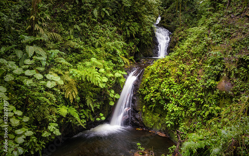 The Monteverde Cloud Forest Reserve (Reserva Biológica Bosque Nuboso Monteverde) is a Costa Rican reserve. This beautiful waterfall is located in the Monteverde Reserve. photo
