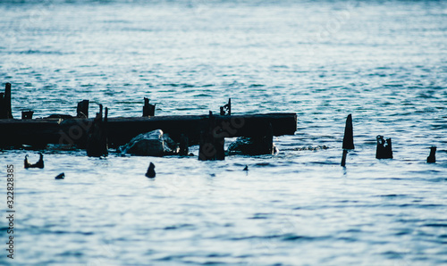 the remains of a sunken ship on the shore