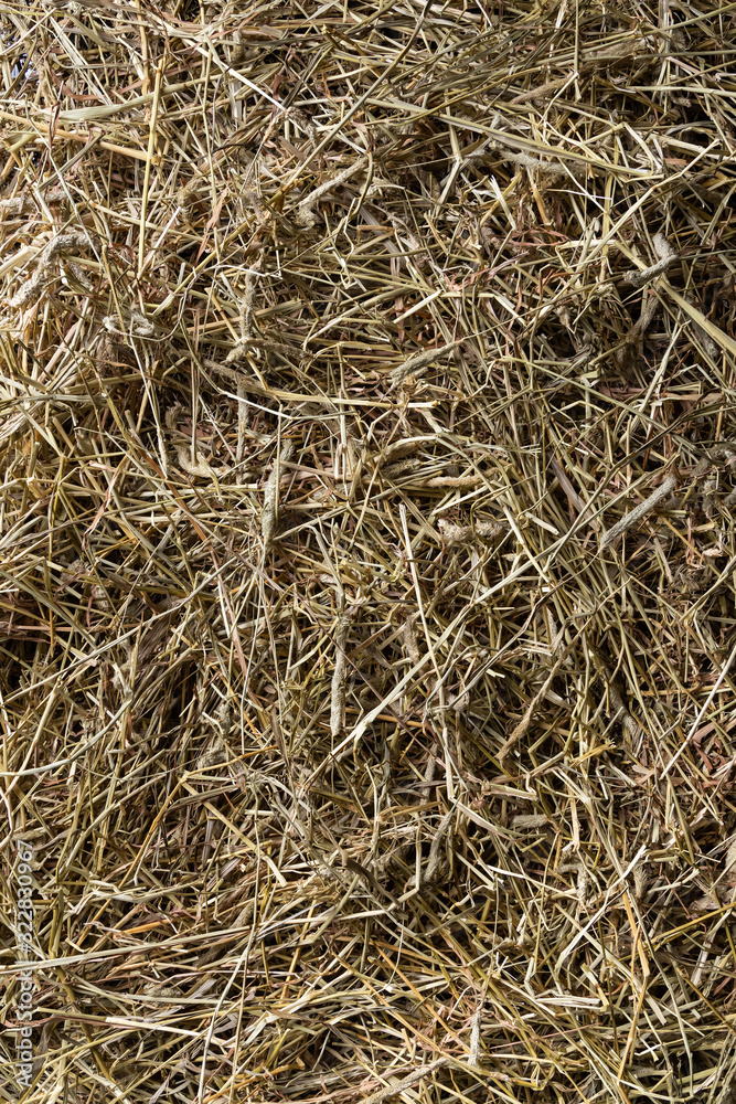 texture of dry hay