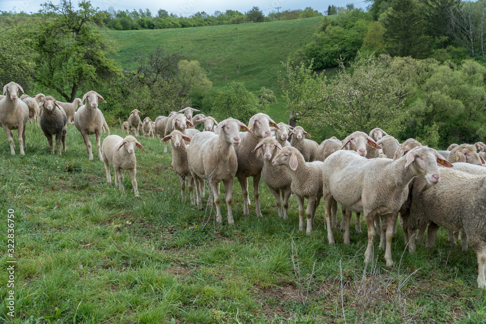 Obraz premium Trekking Tour